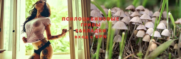 винт Алексеевка