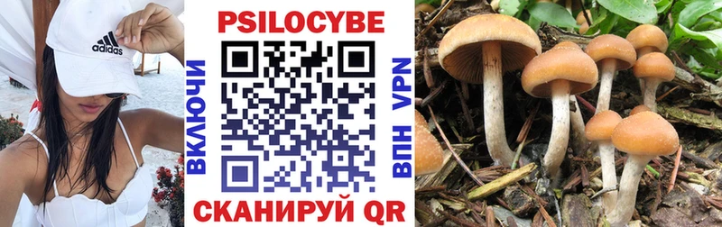 blacksprut онион  Беломорск  Псилоцибиновые грибы мухоморы  как найти закладки 
